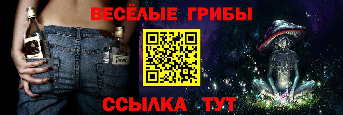 Гагарин  Галлюциногенные грибы GOLDEN TEACHER  Вход с VPN 